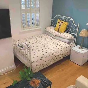 Stylish Modern Studio, Mock Georgian House, Heart Of Trendy Hackney & Homestay